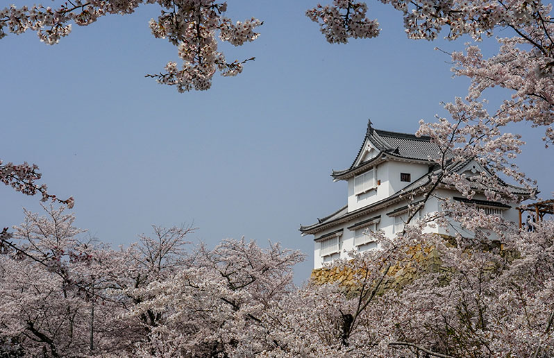 Tsuyama Castle Kakuzan Park